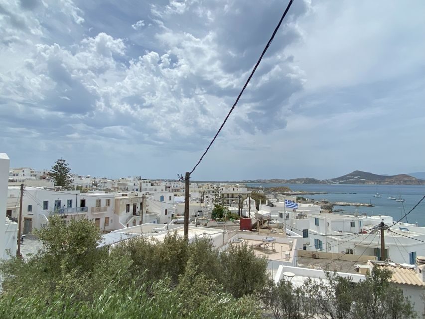 Naxos: Food Walking Tour & Cooking Class with Meal & Drinks - Who Will Love This Tour?