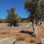 Naxos: Inland hike to explore local villages & antiquities - Frequently Asked Questions