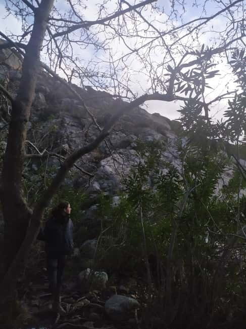 Naxos: Mystical Gorge & Hidden Waterfall Escape - Exploring the Mystical Gorge & Waterfall Tour in Naxos
