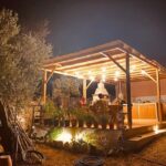 Naxos : Private BBQ night in the olive grove - A Closer Look at the Experience