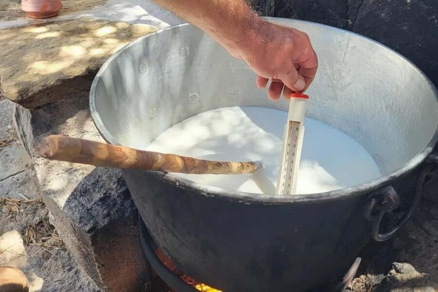 Naxos Private Cheese and Wine 6 Hour Experience - A Closer Look at the Naxos Private Cheese and Wine Tour