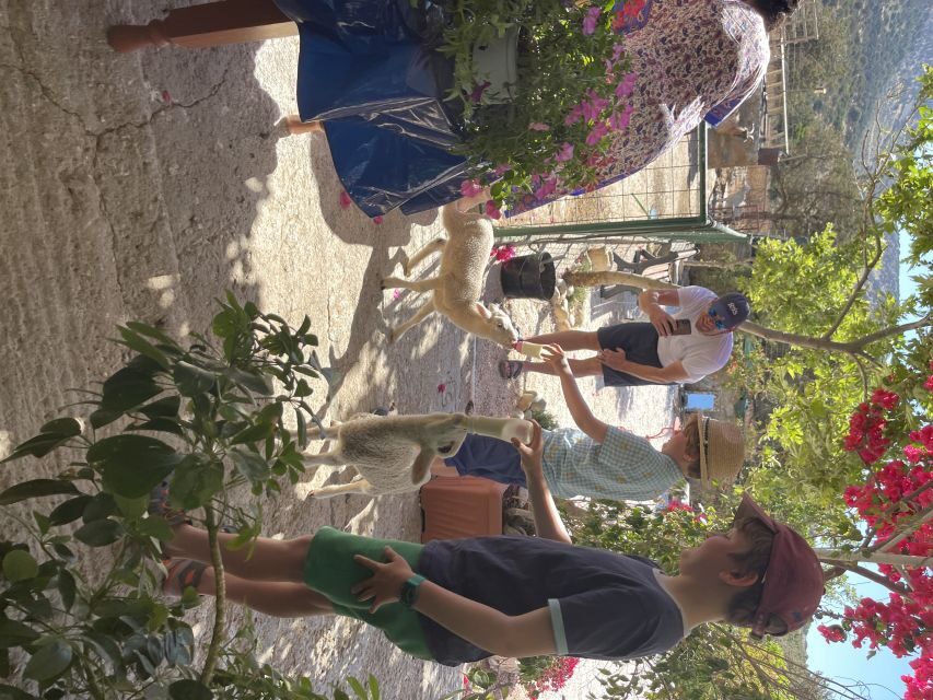 Naxos: Private Half-Day Family-Friendly Tasting Tour - FAQs