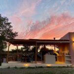 Naxos: private traditional dining in the olive grove - An In-Depth Look at the Experience