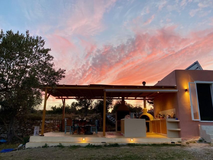 Naxos: private traditional dining in the olive grove - An In-Depth Look at the Experience
