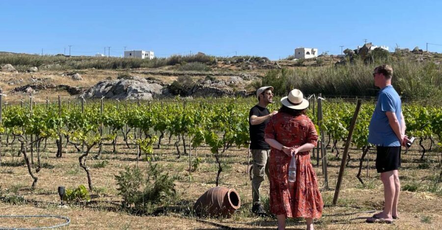 Naxos: Private Vineyard Tour & Wine Tasting with an Expert - Who Would Enjoy This Tour?