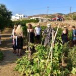 Naxos: Private Wine Tasting Tour - A Detailed Look at the Naxos Private Wine Tasting Tour