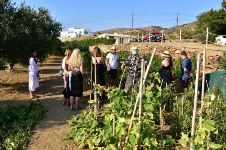 Naxos: Private Wine Tasting Tour - A Detailed Look at the Naxos Private Wine Tasting Tour