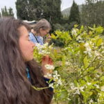 Near Cagliari: Wild Herbs and Healing at "In Our Garden" - The Sum Up