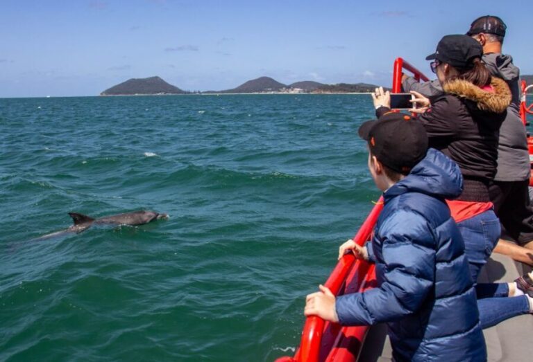 Nelson Bay: 1hr Dolphin Watch Express - Key Points