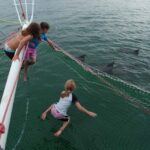 Nelson Bay: Dolphin Watch Cruise and Sail - Why This Tour Offers Excellent Value