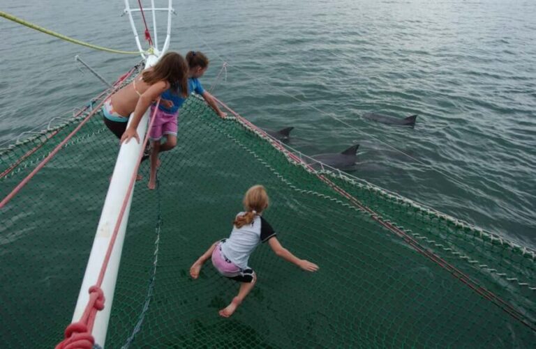 Nelson Bay: Dolphin Watch Cruise and Sail - Why This Tour Offers Excellent Value