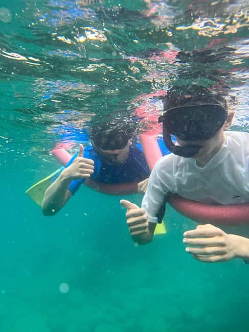 Nelson Bay: Marine Discovery Cruise with Snorkeling - Who Should Consider This Tour?