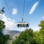 Nelson: Cable Bay Adventure Park Skywire Experience - Who Will Love This?