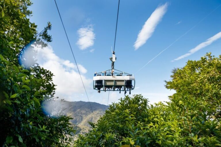 Nelson: Cable Bay Adventure Park Skywire Experience - Who Will Love This?