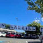 Nelson City Walking Tour - Guided - An In-Depth Look at the Nelson City Walking Tour