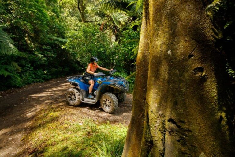 Nelson: Guided Quad Biking Tour Through Forest and Farmland - An In-Depth Look at the Quad Biking Experience