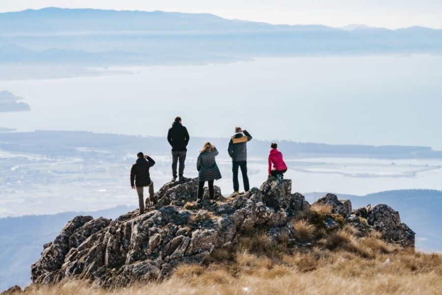 Nelson: Helicopter Flight with Mountain Landing & Bay Views - Who Will Love This Tour?