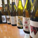 Nelson: Marlborough Wine Tour with Tastings and Lunch - The Practical Details