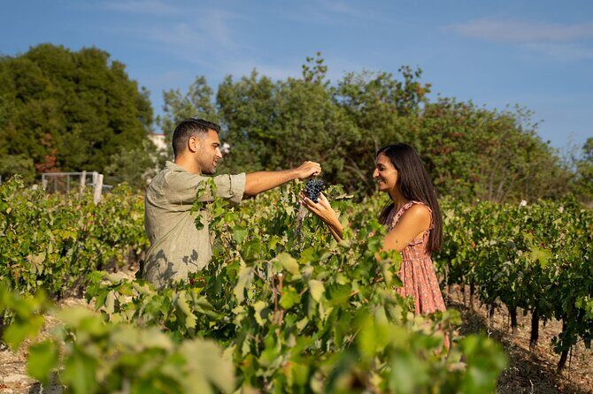 Nemea wine roads, The most famous wine tour in Greece - A Deep Dive Into the Nemea Wine Roads Tour
