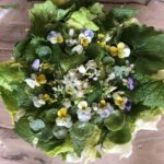 Nemi: Herb Harvesting and Cooking Class Experience - Exploring the Nemi Herb Harvesting and Cooking Class