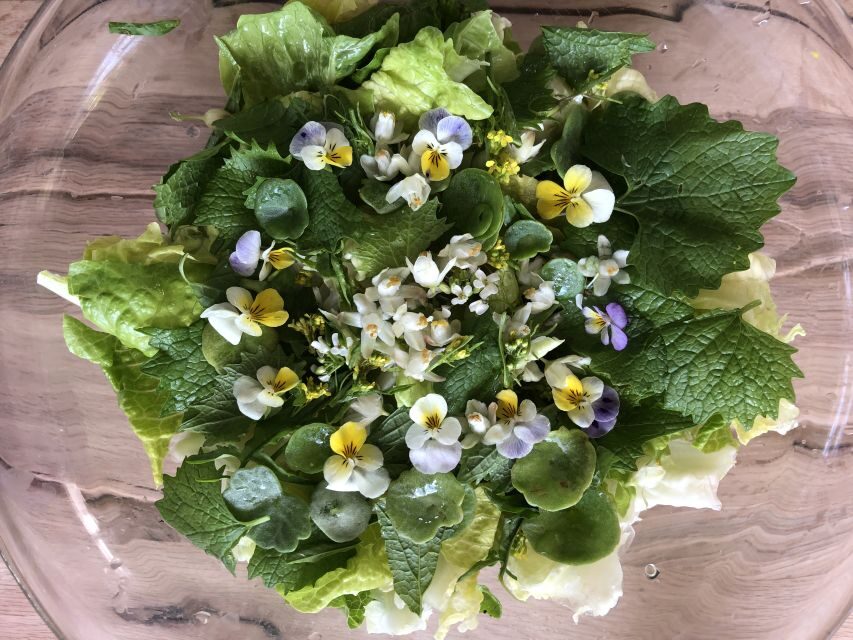 Nemi: Herb Harvesting and Cooking Class Experience - Exploring the Nemi Herb Harvesting and Cooking Class