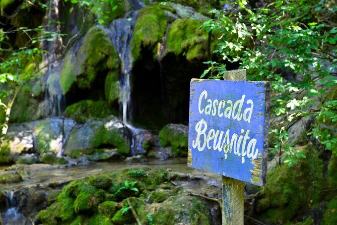 Nera Gorge National Park - Private Day Tour from Timisoara - An In-Depth Look at the Nera Gorge Private Tour