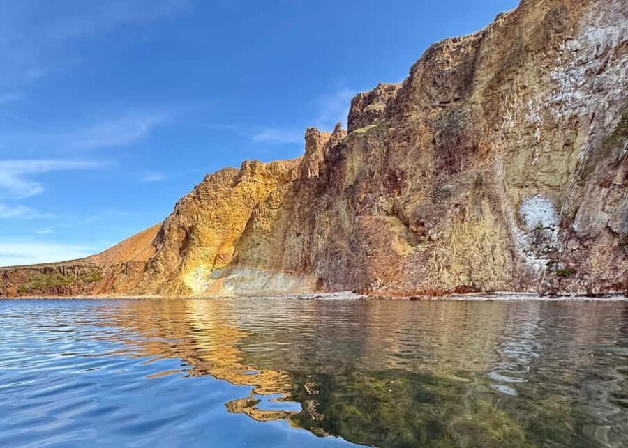 Neskaupstaður: RIB Boat Tour with Drink - The Experience: Value, Comfort, and Authenticity