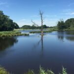 Nettetal: Krickenbecker Lakes, Forest & Castle Segway Tour - Exploring the Krickenbecker Lakes and Forests by Segway