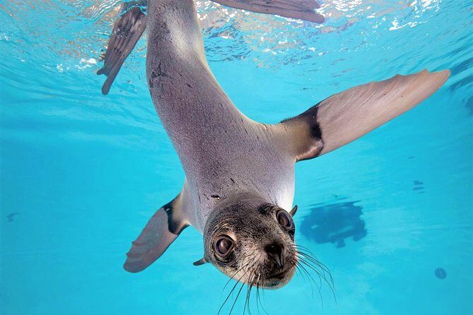 New England Aquarium Admission Ticket in Boston - A Detailed Breakdown of the Experience