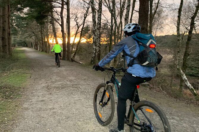 New Forest Sunset Bike Rides - Final Thoughts
