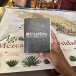 New Friends and Mezcal Tasting Deluxe in Oaxaca city! - A Deep Dive Into the Oaxaca Mezcal Experience
