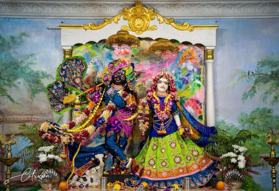 New Gokula Farm, Cessnock & Newcastle Day Tour from Sydney - Final Thoughts: Is It Worth It?