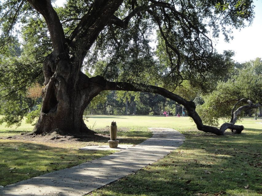 New Orleans: 2-Hour 15-Minute City and Cemetery Tour by Bus - What Travelers Say: Authentic Perspectives