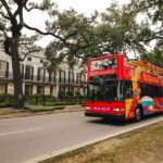 New Orleans: 2 or 3 Day Hop-On Hop-Off Bus with Walking Tour - The Bus Experience: Comfort and Practicality