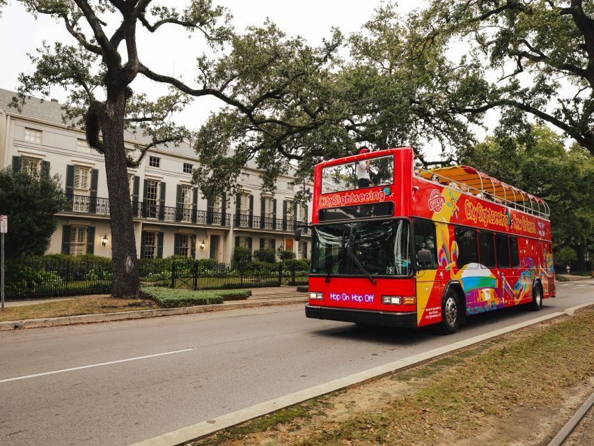 New Orleans: 2 or 3 Day Hop-On Hop-Off Bus with Walking Tour - The Bus Experience: Comfort and Practicality