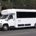 New Orleans: City & Cemetery Tour by Air-Conditioned Minibus - An In-Depth Look at the Tour Experience