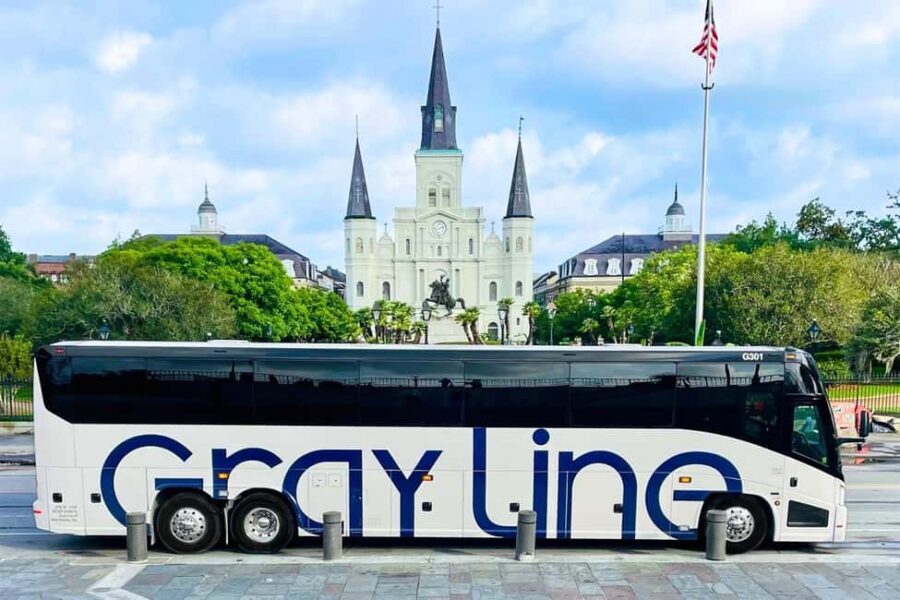 New Orleans: City Tour & Steamboat Daytime Jazz Cruise Combo - What Reviewers Say: Authenticity and Highlights