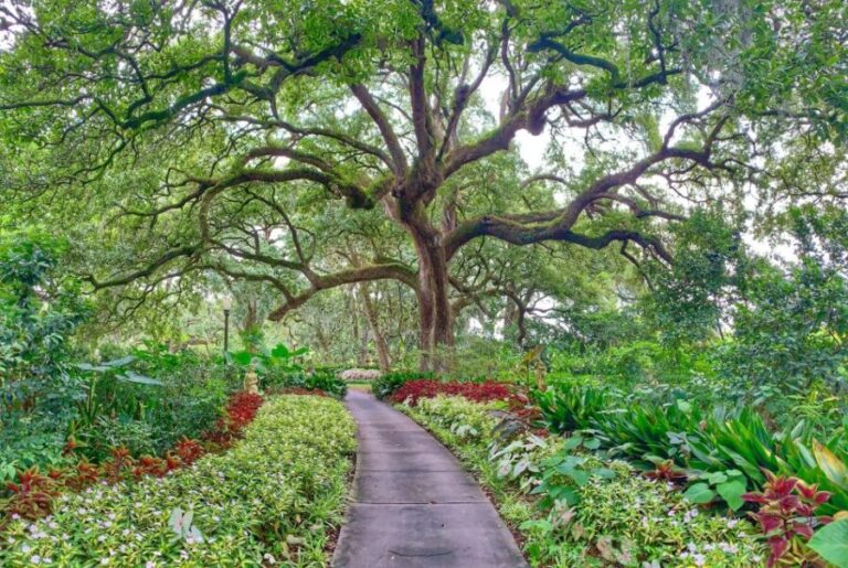 New Orleans: Houmas House Plantation Tour - Who Will Love This Tour?