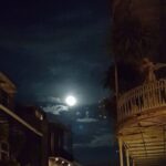 New Orleans: Lewd Spirits Tour - How the Experience Translates for You