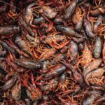 New Orleans' Lower Garden Food Tour - What to Expect on the Lower Garden Food Tour