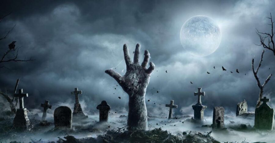 New Orleans: Night Cemetery and Ghost BYOB Bus Tour - A Detailed Look at What You Can Expect