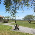 New Orleans: Oak Alley & Laura Plantation Tour w/Transport - A Closer Look at the Tour Experience