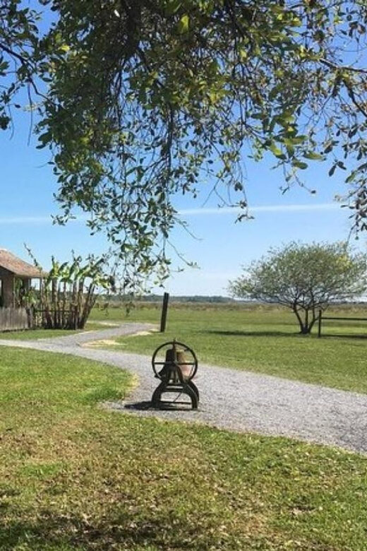 New Orleans: Oak Alley & Laura Plantation Tour w/Transport - A Closer Look at the Tour Experience