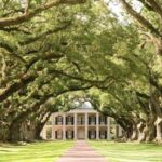 New Orleans: Oak Alley or Laura Plantation & Airboat Tour - The Value of This Tour: Balancing Cost, Experience, and Authenticity