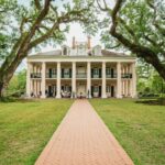 New Orleans: Oak Alley Plantation and Swamp Cruise Day Trip - A Deep Dive into the Experience