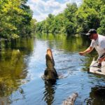 New Orleans: Swamp Boat Ride & Oak Alley Plantation Tour - An In-Depth Look at the Tour