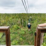 New Orleans: Swamp Zipline Tour - A Deep Dive into the Swamp Zipline Experience