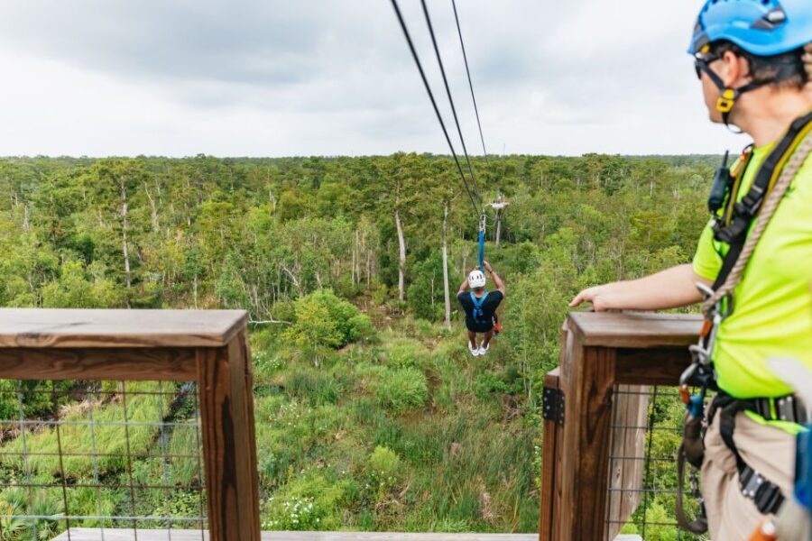 New Orleans: Swamp Zipline Tour - A Deep Dive into the Swamp Zipline Experience