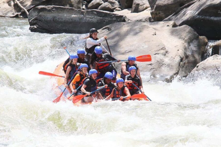 New River Gorge: Lower New River Full-Day Rafting Tour - Exploring the Itinerary: What Youll Experience