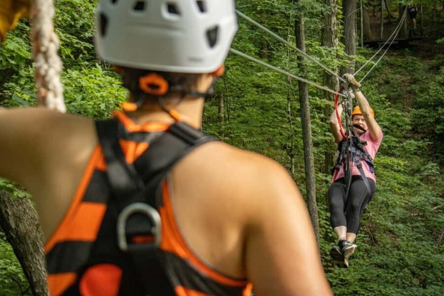 New River Gorge: TimberTrek Adventure Park Entry Ticket - Who Should Consider TimberTrek?